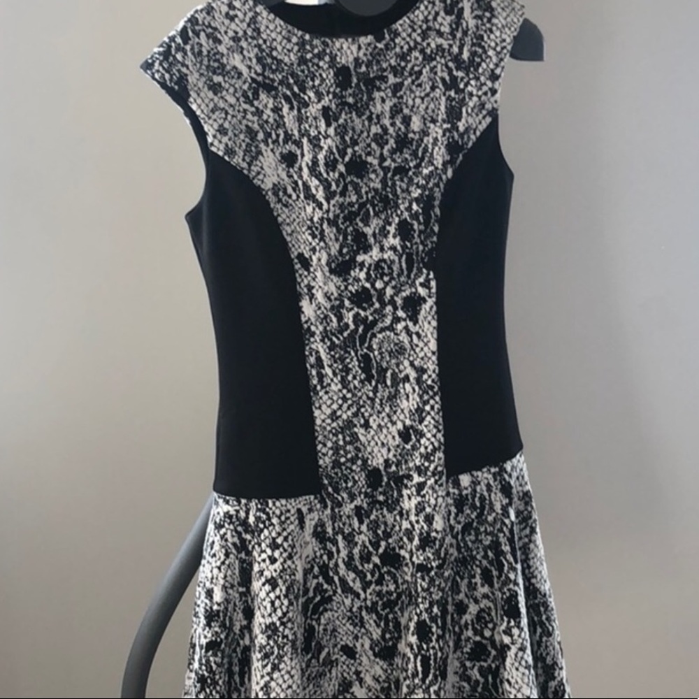 Fit and Flare Scuba Ted Baker Dress